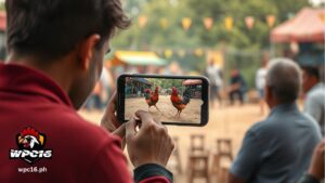 a man watching online sabong on mobile phone